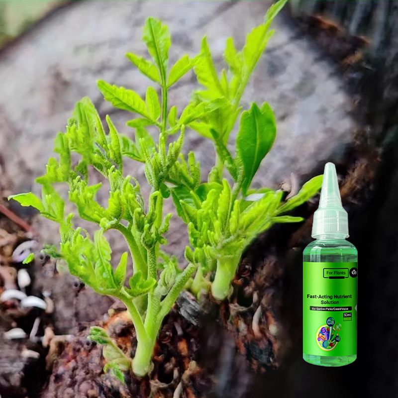 50% OFF🔥Fast-Acting Nutrient Solution for Plants