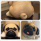 [Creative Gifts] Resin Dog Statue Tray Storage Key Holder Decor
